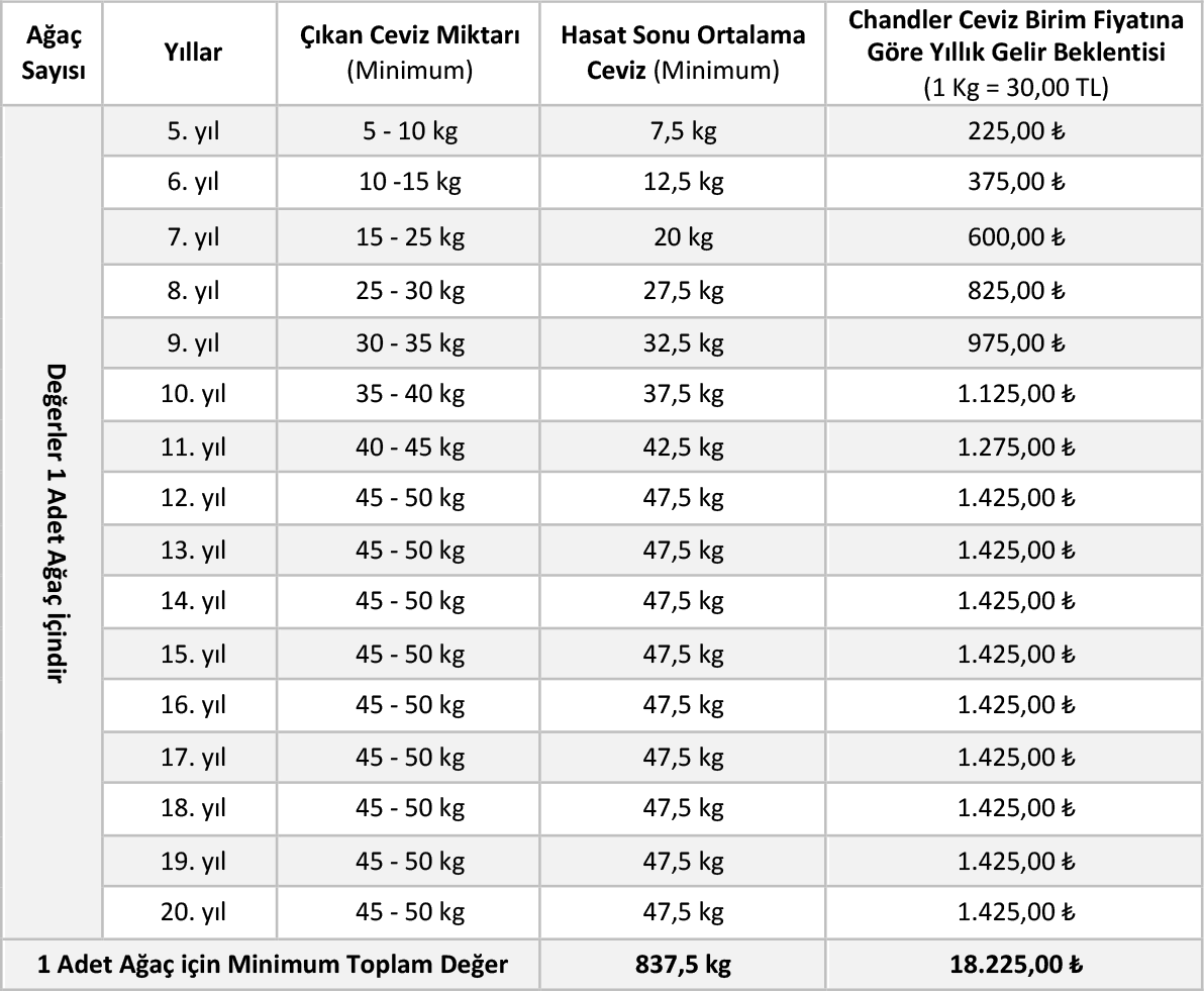 Malatya Drone Çekim
