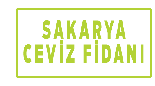 Malatya Drone Çekim logo