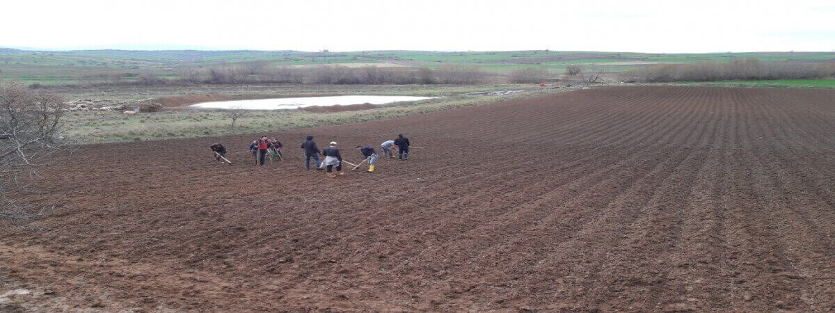 Malatya Drone Çekim